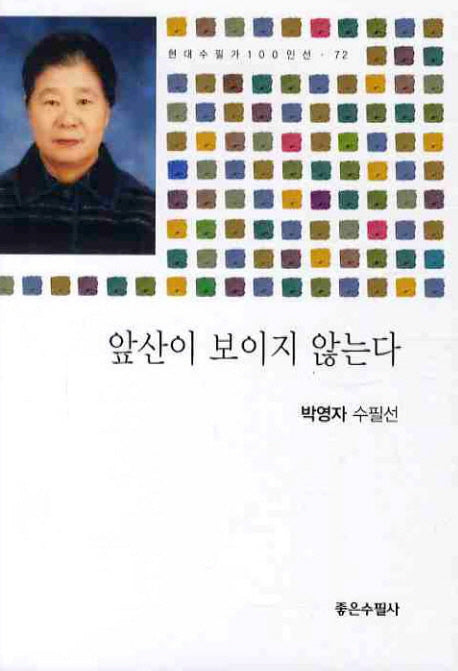 앞산이 보이지 않는다(현대수필가 100인선 72)