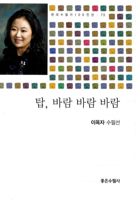 탑 바람 바람 바람(현대수필가 100인선 73)