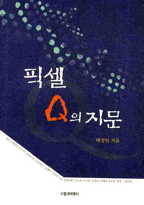 픽셀 Q의 지문