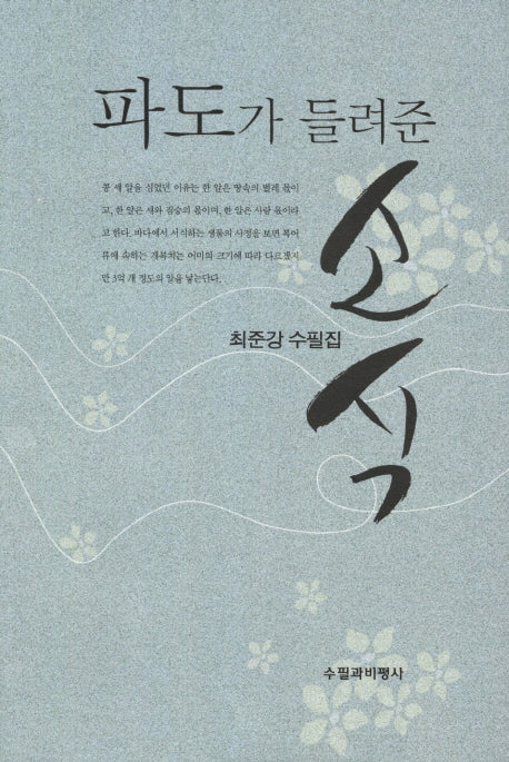 파도가 들려준 소식