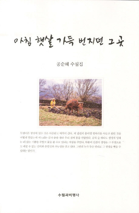 아침 햇살 가득 번지던 그곳