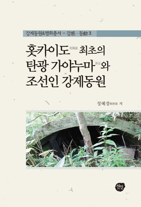 홋카이도 최초의 탄광 가야누마와 조선인 강제동원(강제동원 평화총서 감동. 3)