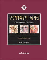 구강해부학용어 그림사전