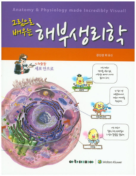 해부생리학(그림으로 배우는)