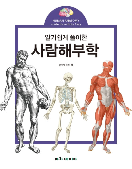 사람해부학(알기쉽게 풀이한)