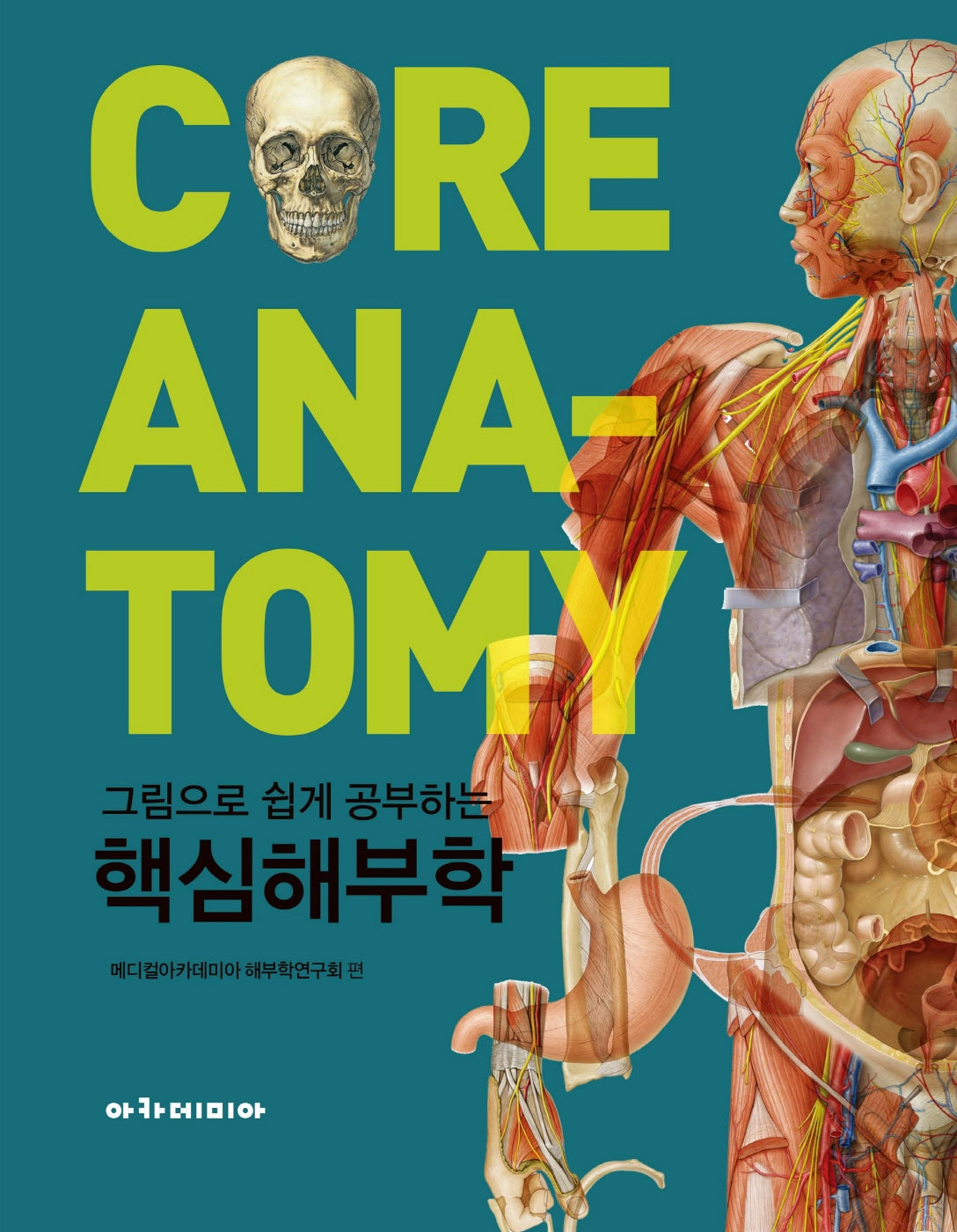 핵심해부학(그림으로 쉽게 공부하는)