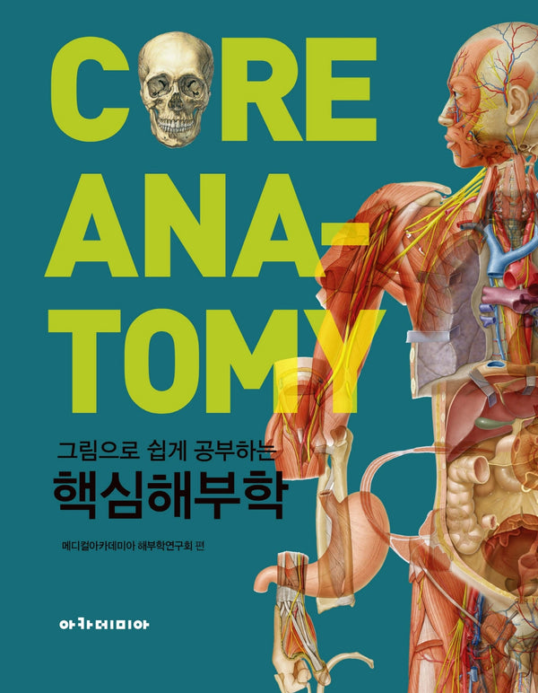 핵심해부학(그림으로 쉽게 공부하는)