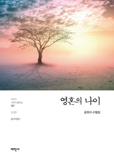 영혼의 나이(양장본 HardCover)