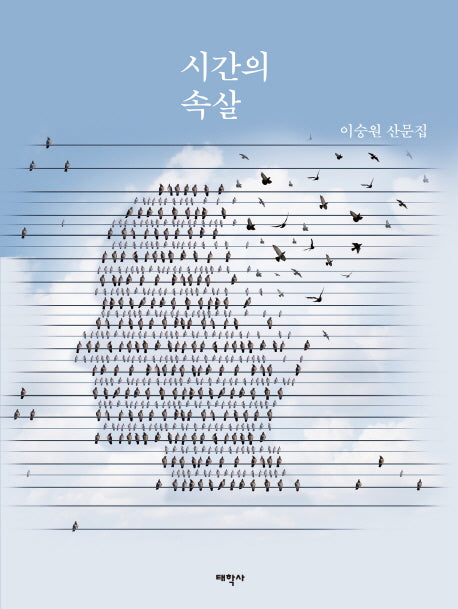 시간의 속살