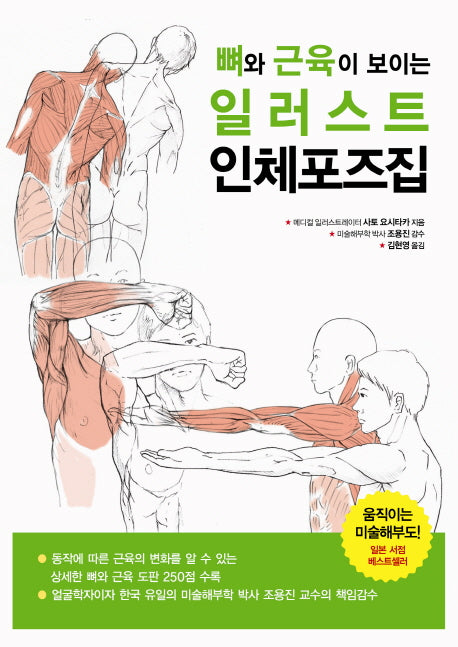 일러스트 인체포즈집(뼈와 근육이 보이는)