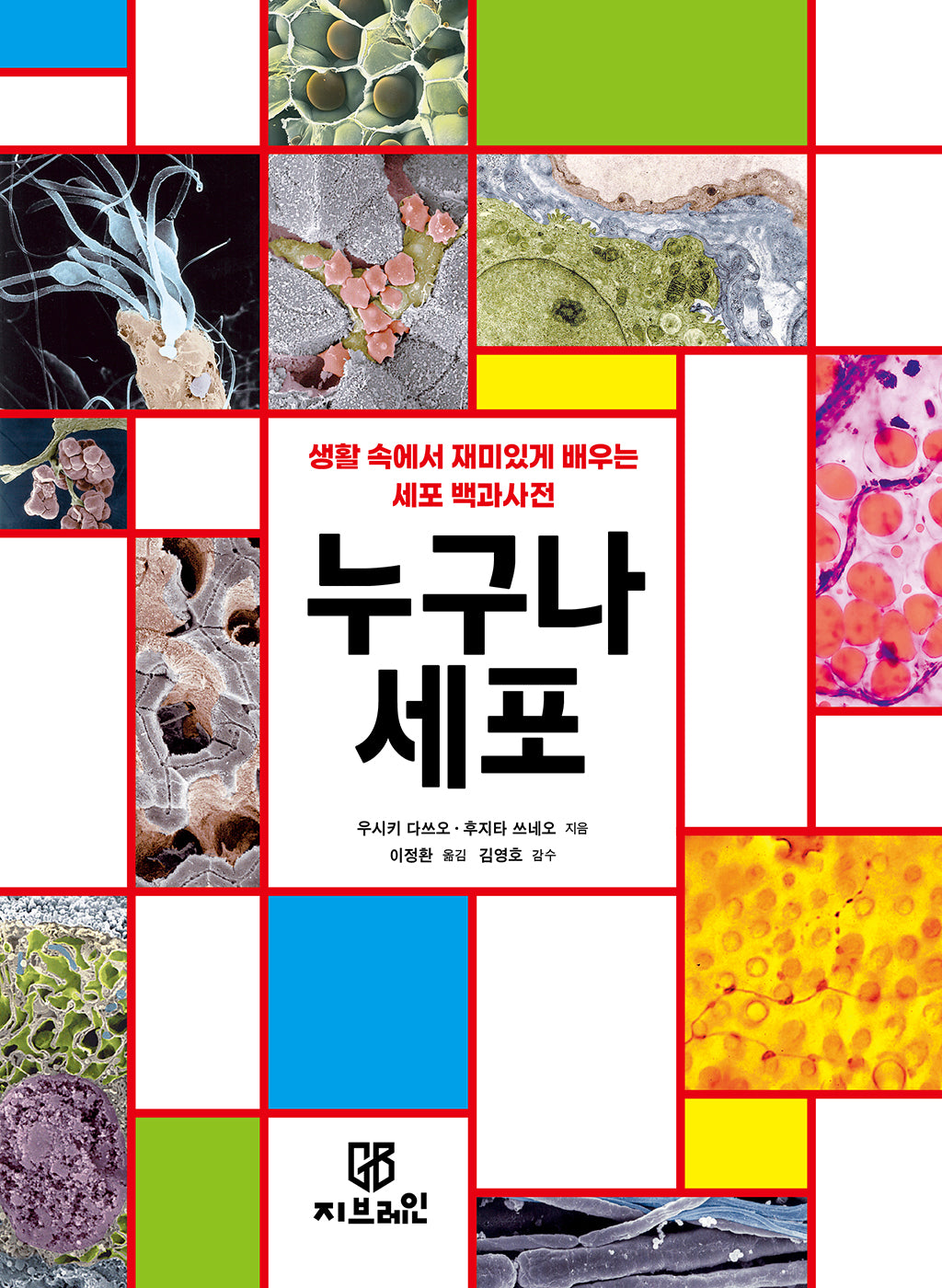누구나 세포