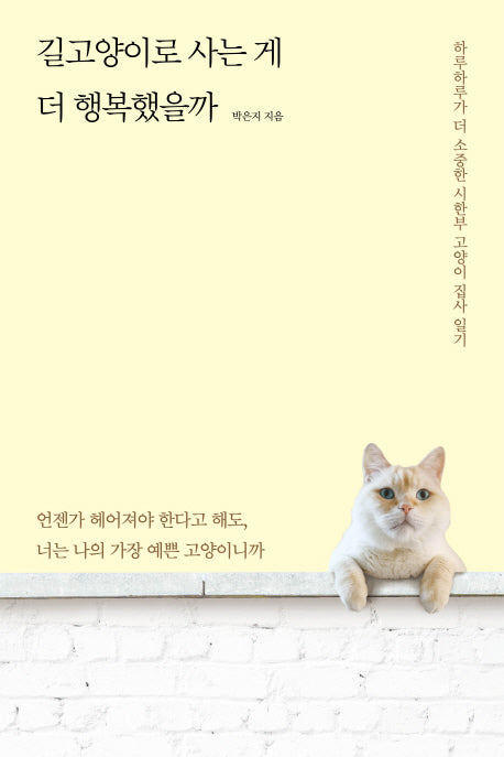길고양이로 사는 게 더 행복했을까