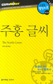 주홍 글씨 (다락원 클리프노트)(명작노트 038)