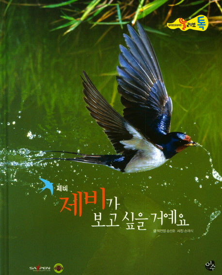 제비가 보고 싶을 거예요(올리브 톡 살아있는 감성자연 25: 제비)(양장본 Hardcover)