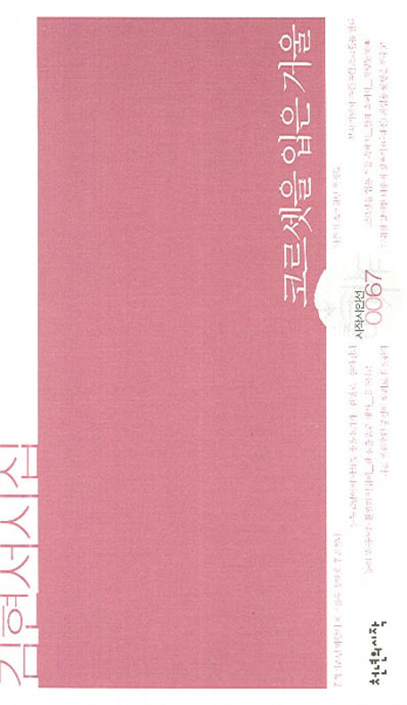 코르셋을 입은 거울(시작시인선 67)