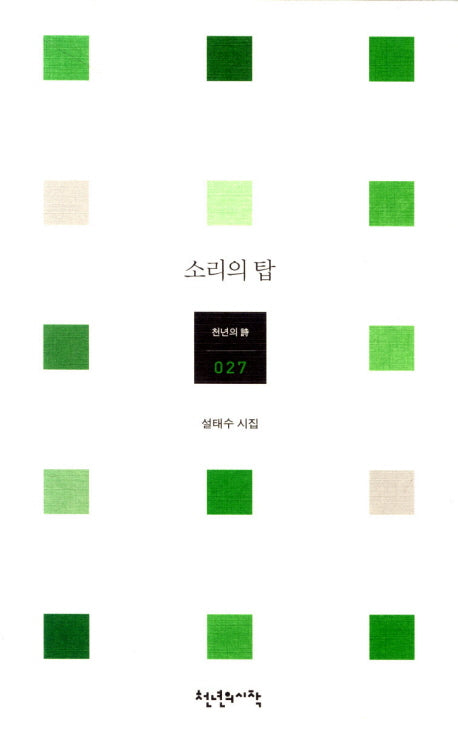 소리의 탑(천년의시 27)