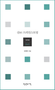 신 브레인스토밍(천년의시 45)
