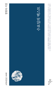수요일의 텍스트(시작시인선 206)