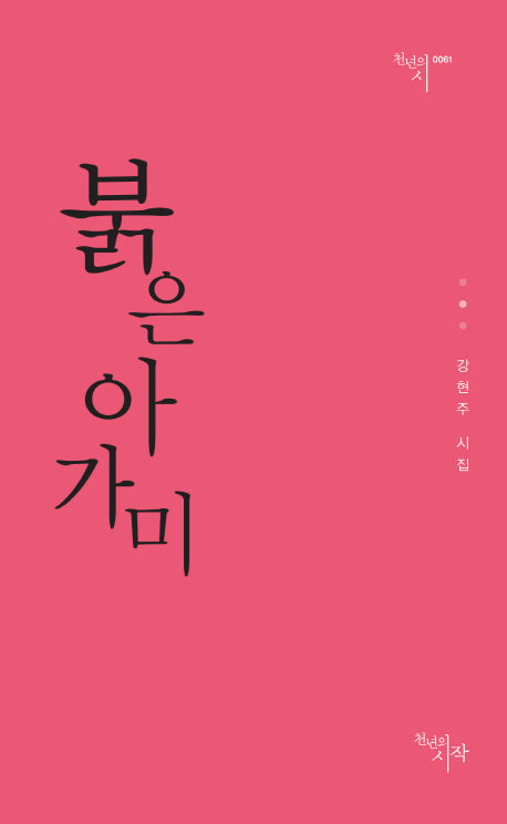 붉은 아가미(천년의시 61)