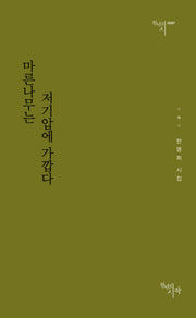 마른나무는 저기압에 가깝다(천년의시 67)