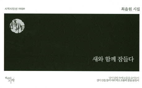 새와 함께 잠들다(시작시인선 230)