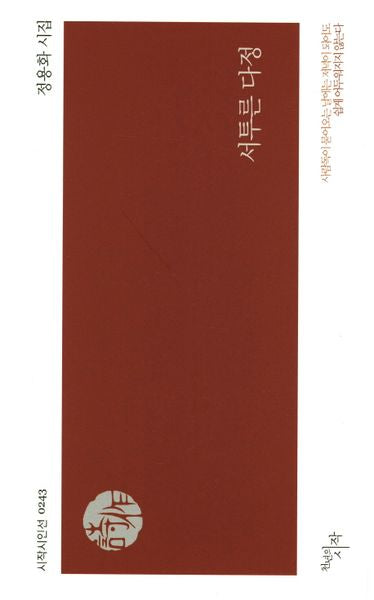 서투른 다정(시작시인선 243)