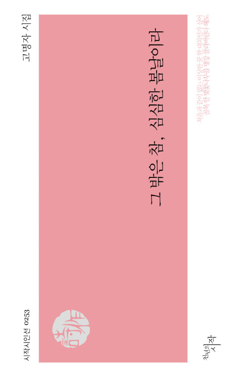 그 밖은 참, 심심한 봄날이라(시작시인선 253)