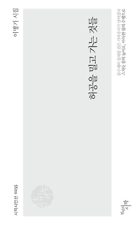 허공을 밀고 가는 것들(시작시인선 255)