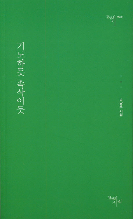 기도하듯 속삭이듯(천년의시 78)