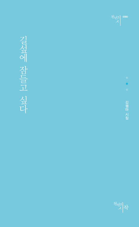 길섶에 잠들고 싶다(천년의시 80)