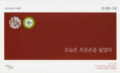 오늘은 오른손을 잃었다(시작시인선 267)