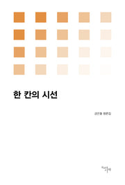 한 칸의 시선(시작비평선 17)