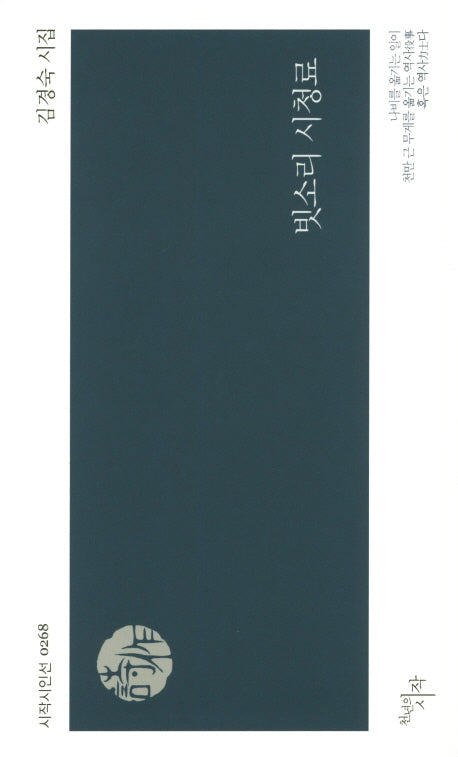 빗소리 시청료(시작시인선 268)