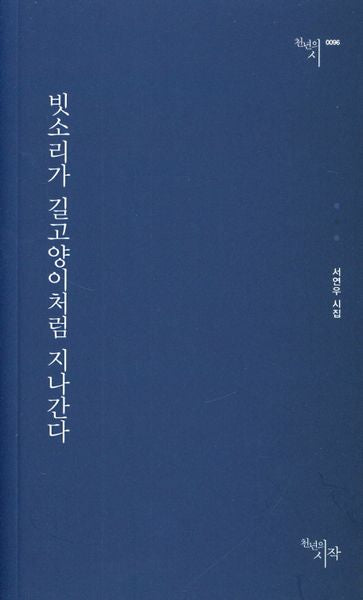 빗소리가 길고양이처럼 지나간다(천년의시 96)