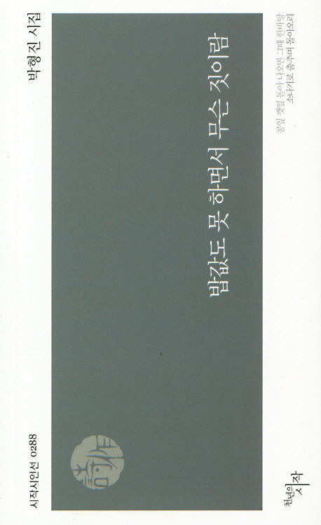 밥값도 못 하면서 무슨 짓이람(시작시인선 288)