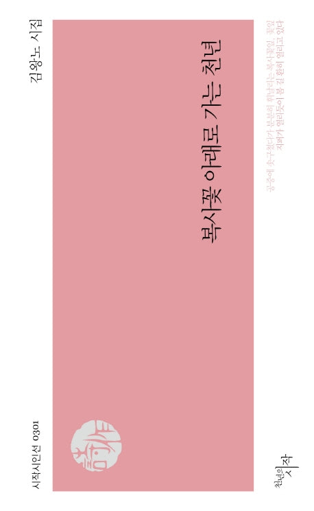 복사꽃 아래로 가는 천년(시작시인선 301)