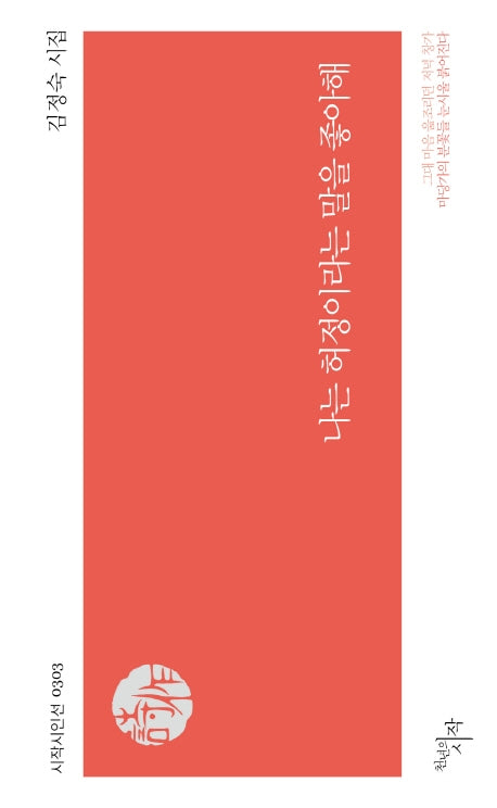 나는 허정이라는 말을 좋아해(시작시인선 303)