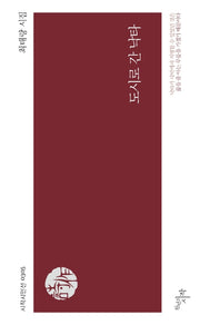 도시로 간 낙타(시작시인선 305)
