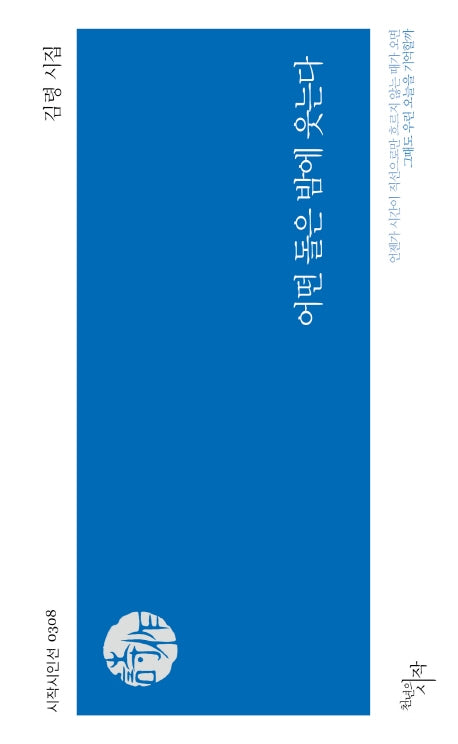 어떤 돌은 밤에 웃는다(시작시인선 308)