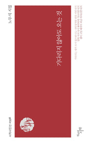 기다리지 않아도 오는 것(시작시인선 338)
