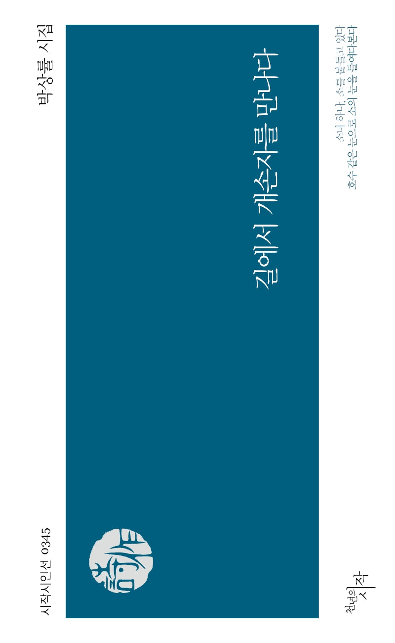 길에서 개손자를 만나다(시작시인선 345)