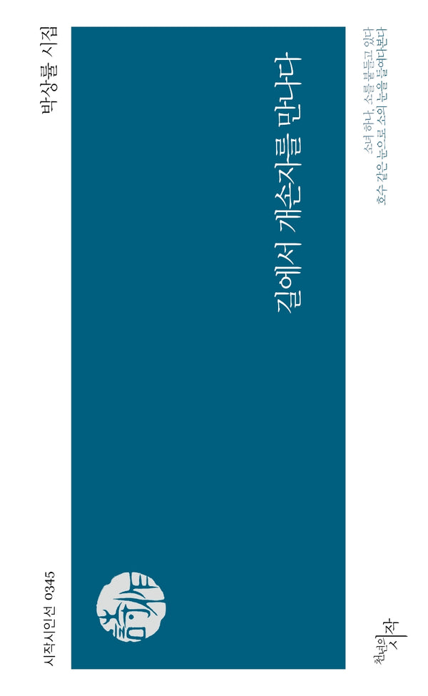 길에서 개손자를 만나다(시작시인선 345)