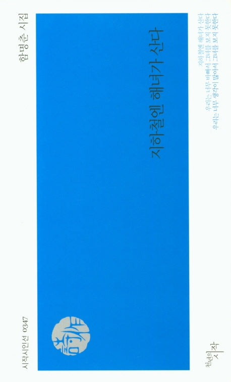 지하철엔 해녀가 산다(시작시인선 347)