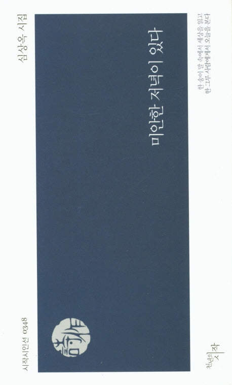 미안한 저녁이 있다(시작시인선 348)