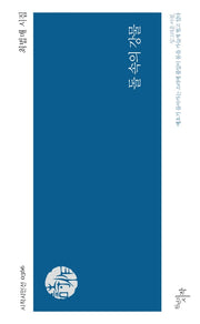 돌 속의 강물(시작시인선 366)