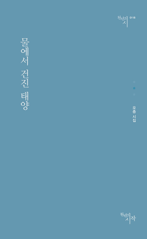 물에서 건진 태양(천년의시 118)