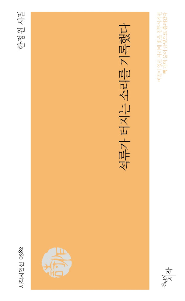 석류가 터지는 소리를 기록했다(시작시인선 382)