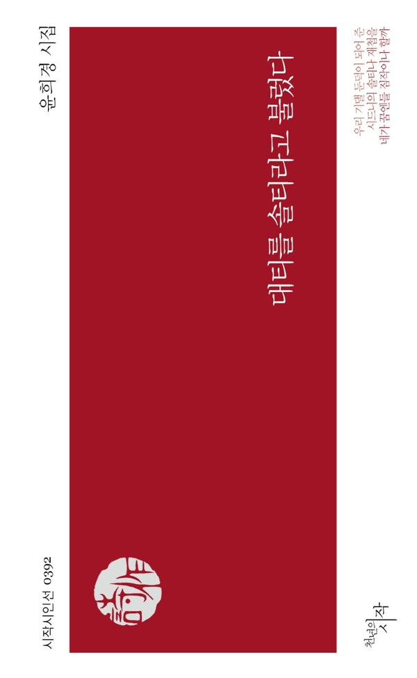 대티를 솔티라고 불렀다(시작시인선 392)