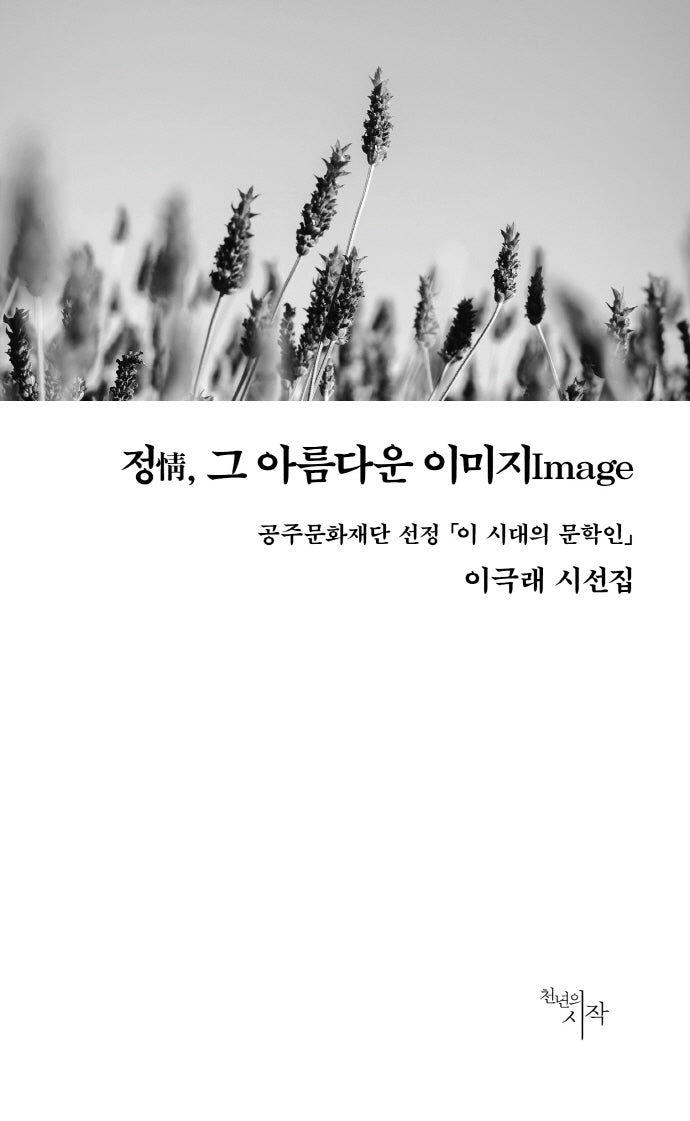 정, 그 아름다운 이미지