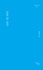 달빛 한 숟갈(천년의시 141)